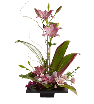 Imagination Blooms with Cymbidium Orchids